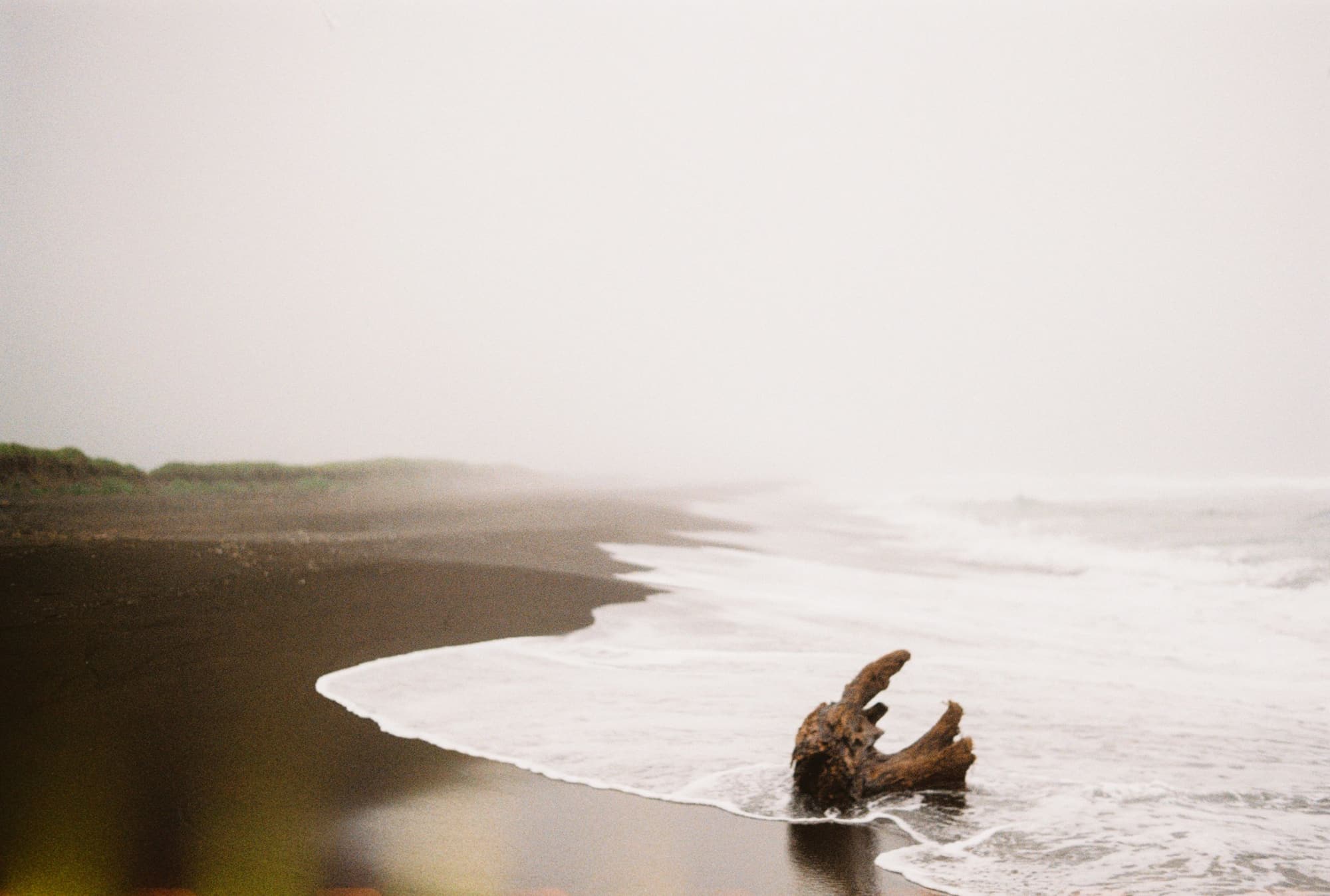 Driftwood on a beach in the fog