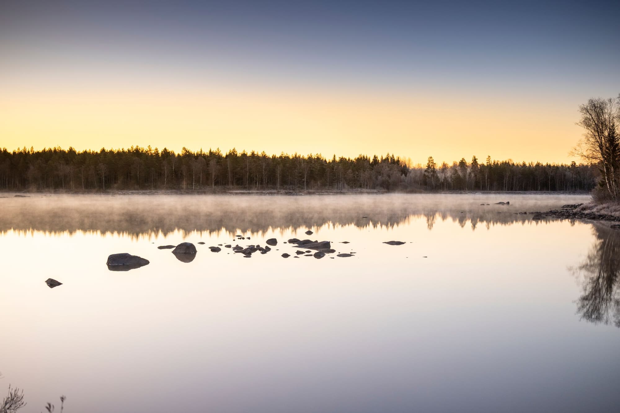 A still lake at dawn